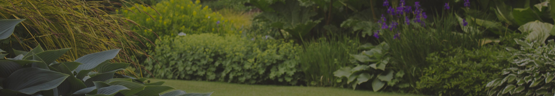 Mulch Installation Services